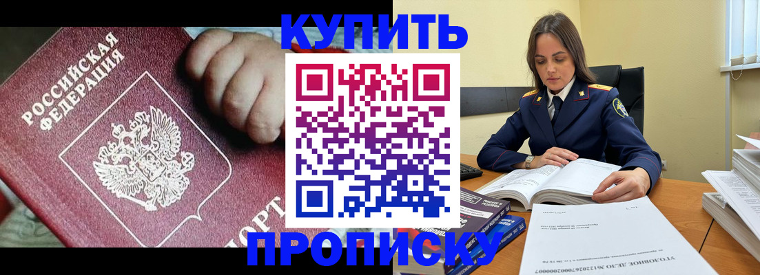 прописка поиск в Сольцах